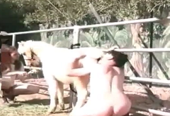 Putting the dick in the naughty mare’s pussy