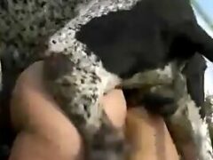 Perro zoophilia gratis burlándose del culo de rubia