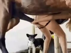 Follada traviesa de pie teniendo sexo con un caballo