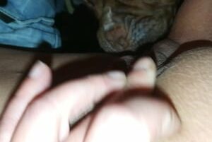 Mujer teniendo sexo con perro lamiendo coño