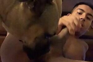 Hombre teniendo sexo con perro porno gay