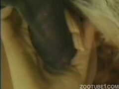 Mujer traviesa practicando sexo oral a un animal por primera vez