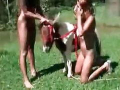 Mujeres follando con ponis al aire libre