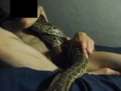 Vídeos de zoofilia con grandes serpientes