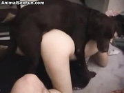 Mexicana culona hace anal con perro