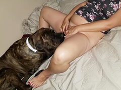 Video porno pit bull chupando coño mujer