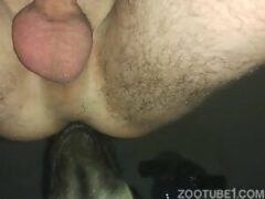 Gay teniendo erección para ganar perro oral