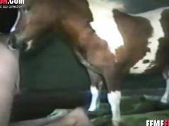 Xvideos gay con mexicano haciendo anal con caballo