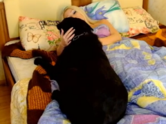 Los mejores vídeos cortos de zoofilia con perros