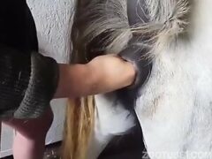 A un pervertido mexicano le gusta meter la mano en el coño de los animales