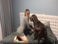 Mujer se levanta el vestido y el gran perro negro entra en acción